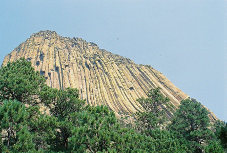 [Image was taken from the area immediately around the towering rock. There are evergreen trees at the base. The individual columns of rock (naturally created) which make up the tower are visible. ]